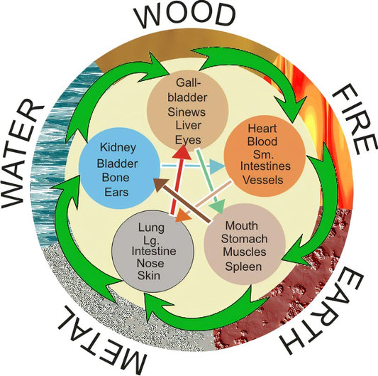 chinese medicine elements wood fire earth metal water