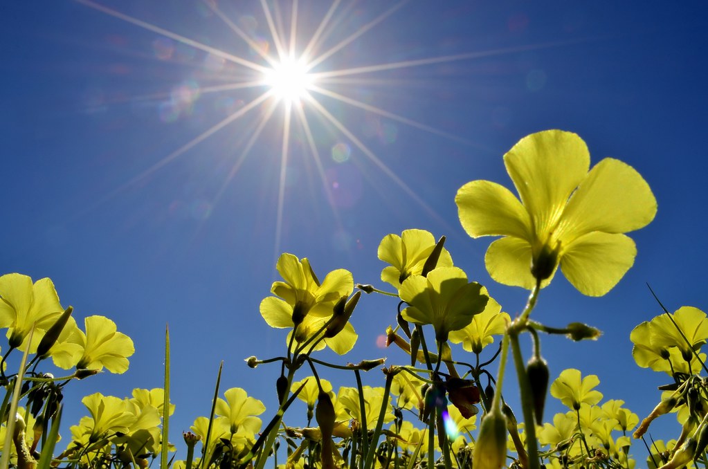 Spring is SPRINGING and its time to clean your ENERGY as much as your ...