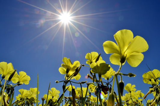 Spring clean your energy too