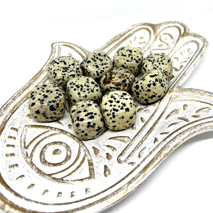 Dalmatian Jasper Tumbled Stone