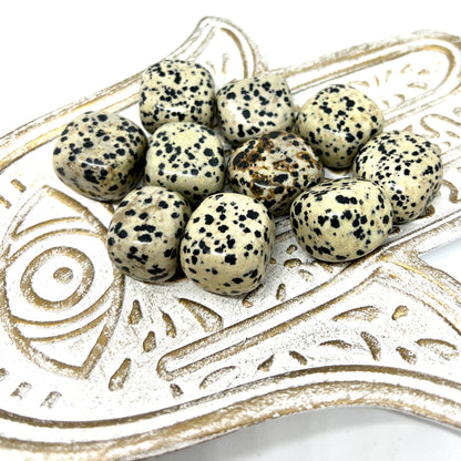 Dalmatian Jasper Tumbled Stone