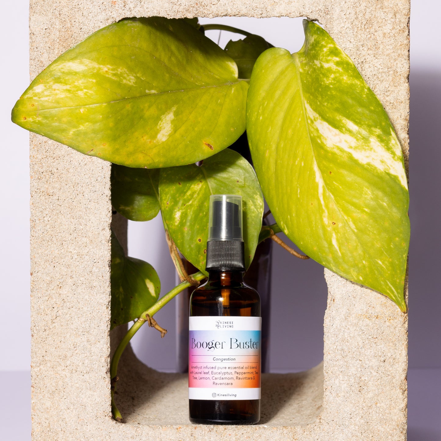 Booger Buster - Cold & Congestion Blend
