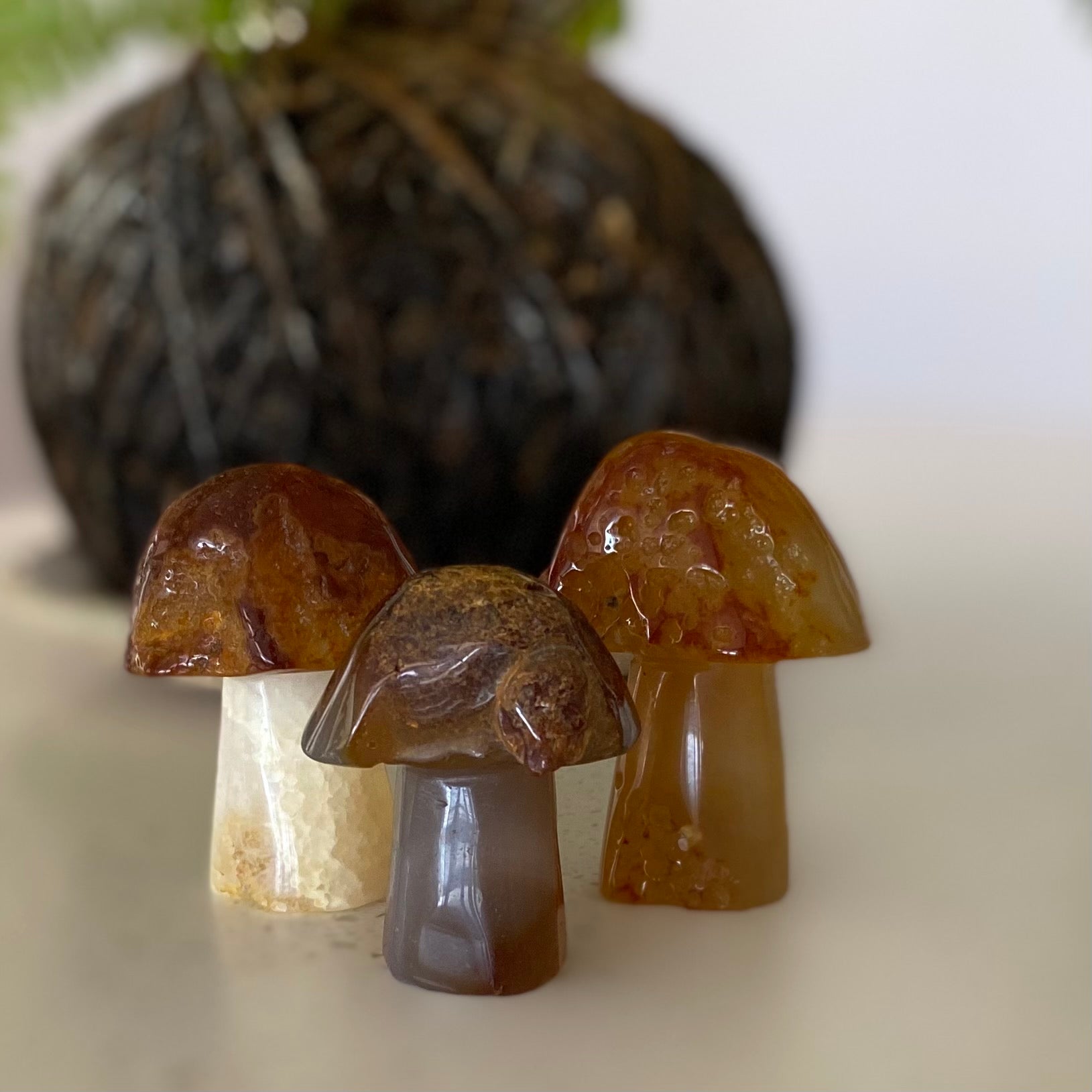 Carnelian mushroom gemstones